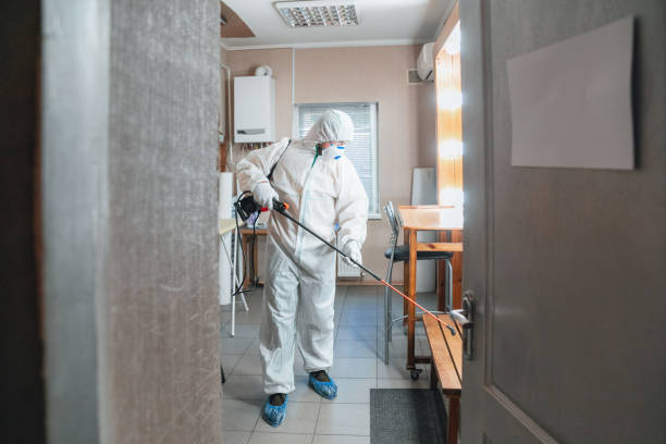 Best HVAC Mold Inspection and Cleaning  in Simi Valley, CA