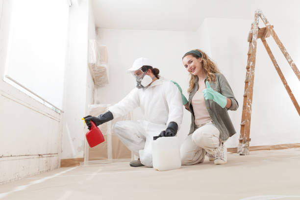 Best Mold Prevention Services  in Simi Valley, CA